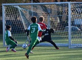Wilhelm Sch. erzielt das 1:0 für unsere D2-Junioren gegen den FC Halle-Neustadt (Foto: C.Mangold)