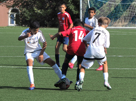Unsere D1-Jugend (weiß) gewinnt 2:0 gegen die U12 des VfL Halle 96